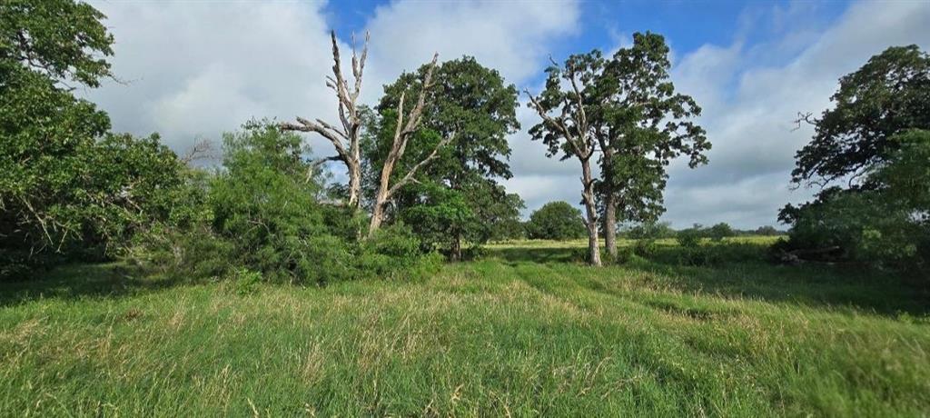 Tbd George Wachel Road Bremond, TX 76629 - Photo 8 of 8 a view of a backyard