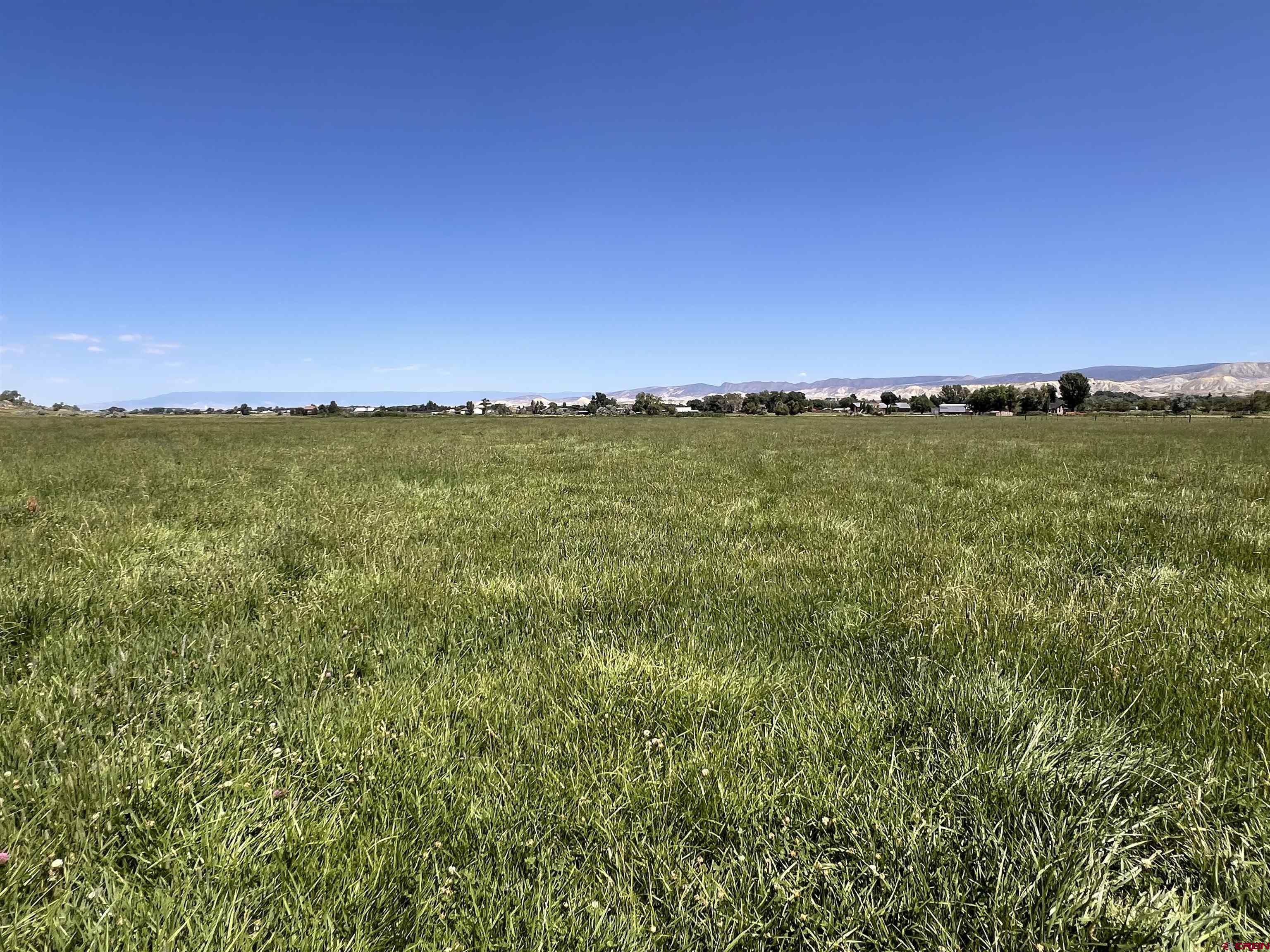 67201 T Road Montrose, CO 81403 - Photo 4 of 32 Gallery Image 4