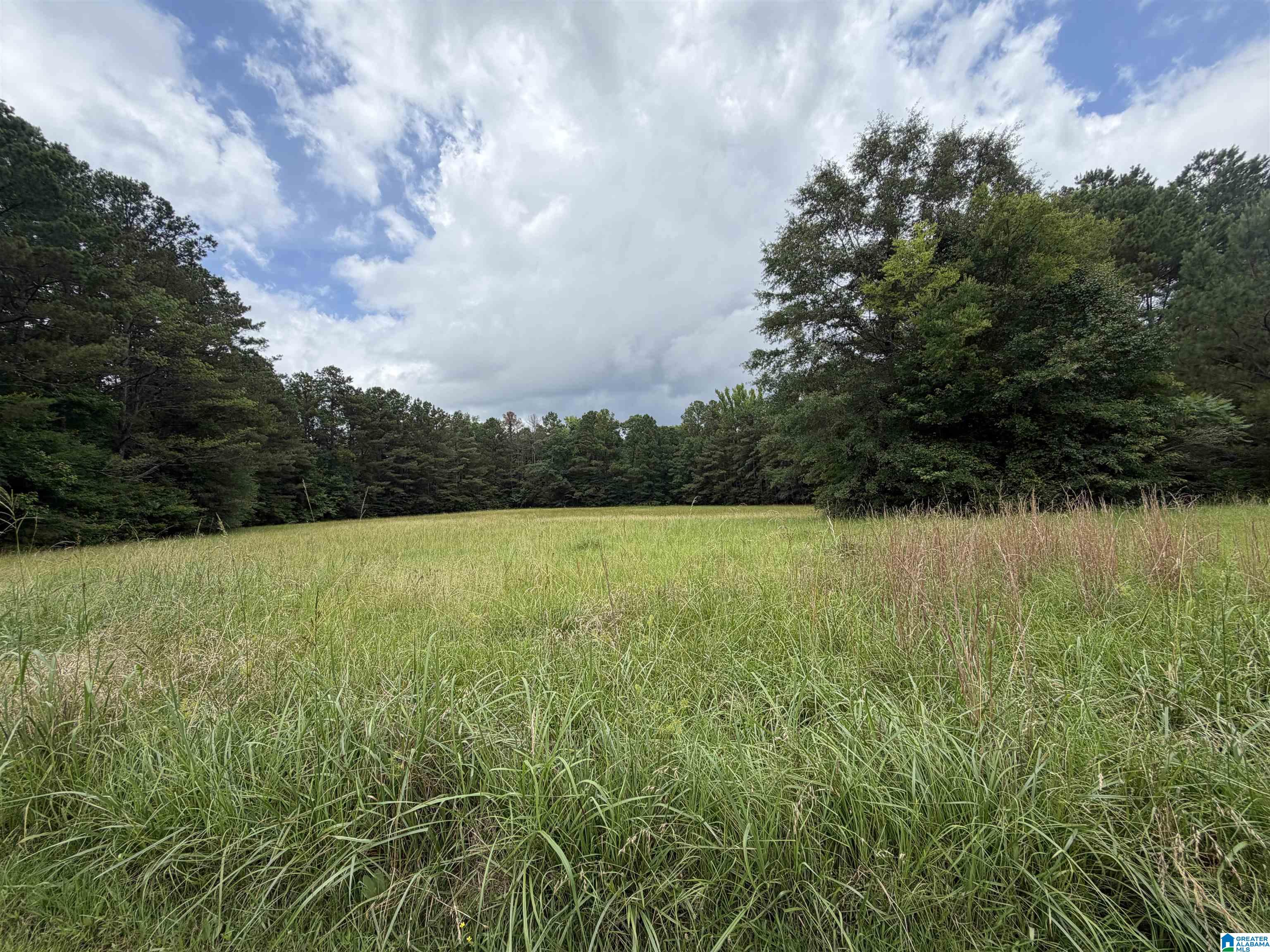 0 Hall Burton Road, Unit 1 Sumiton, AL 35148 - Photo 6 of 10