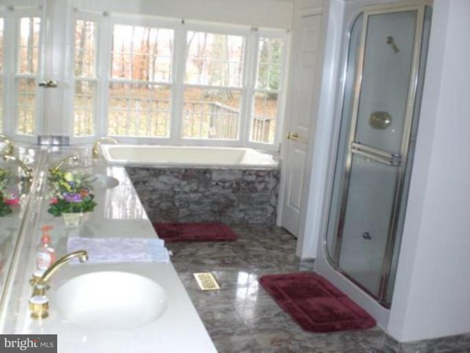 7817 Leland Road Manassas, VA 20111 - Photo 11 of 22 Another view of Main Bath