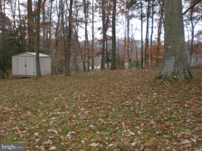 7817 Leland Road Manassas, VA 20111 - Photo 22 of 22 A couple storage sheds in flat, level backyard!
