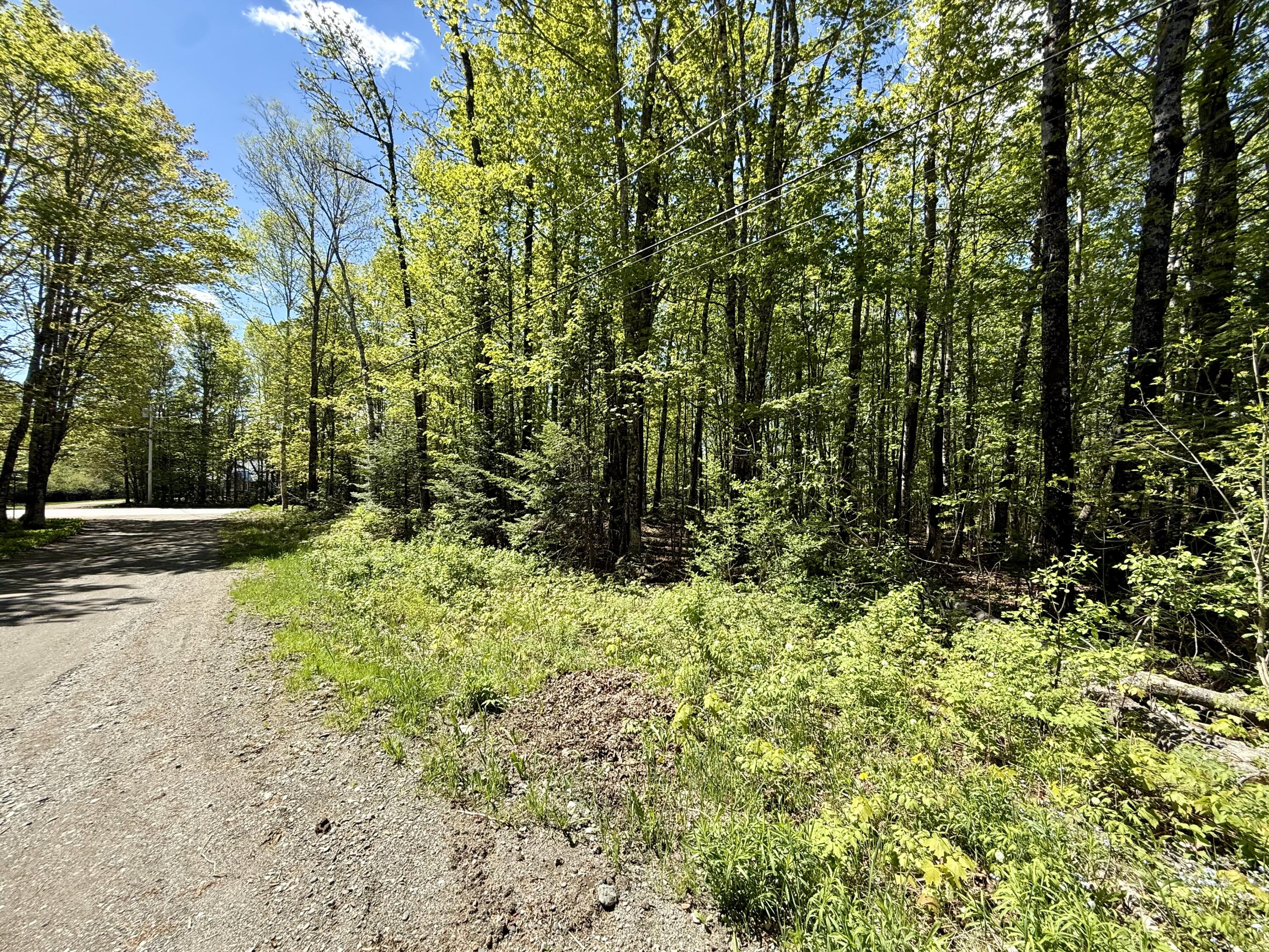 Lot34 I Scammon Road Greenville, ME 04441 - Photo 4 of 10 IMG_7677
