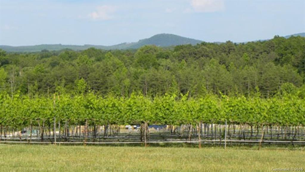 2930 High Rock Road, Unit 7 03AC Gold Hill, NC 28071 - Photo 10 of 16 Gallery Image 10
