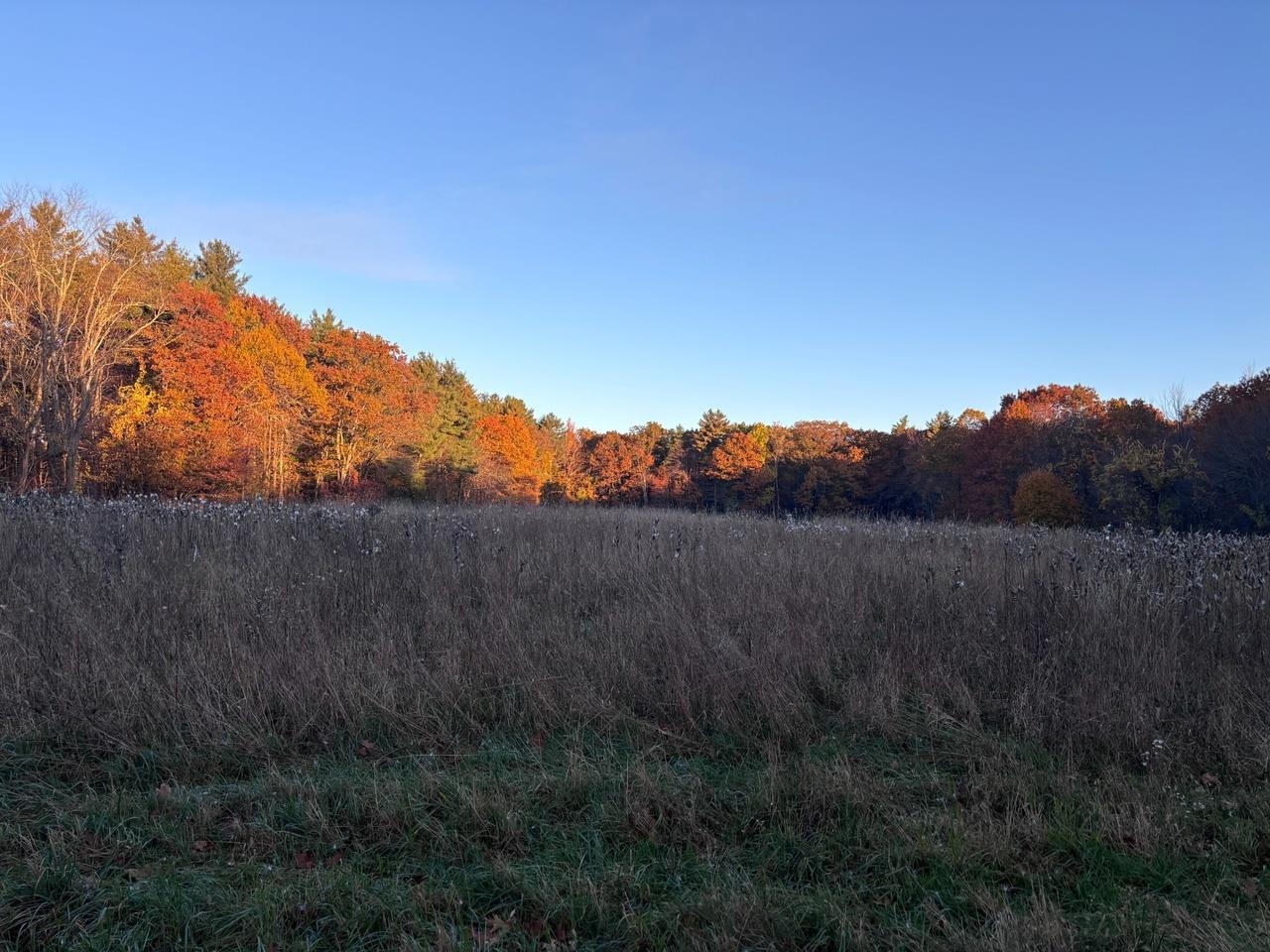 7-056 Mack Hill Road Amherst, NH 03031 - Photo 11 of 16