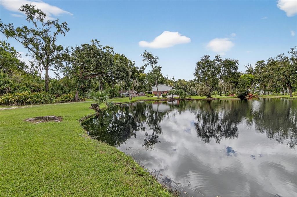 1502 Azalea Street Plant City, FL 33563 - Photo 77 of 99