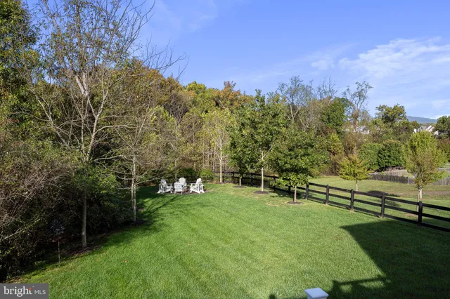 a view of a tree in a yard