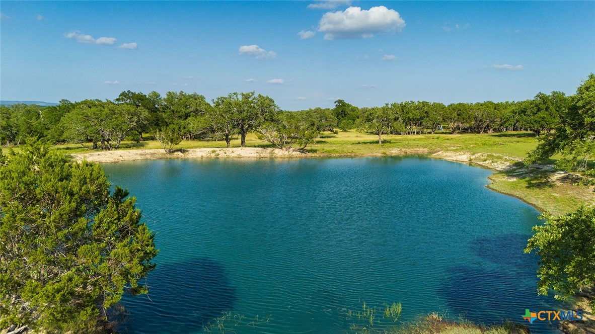98.73 Acres Triple 3 Ranch Blanco, TX 78606 - Photo 18 of 24