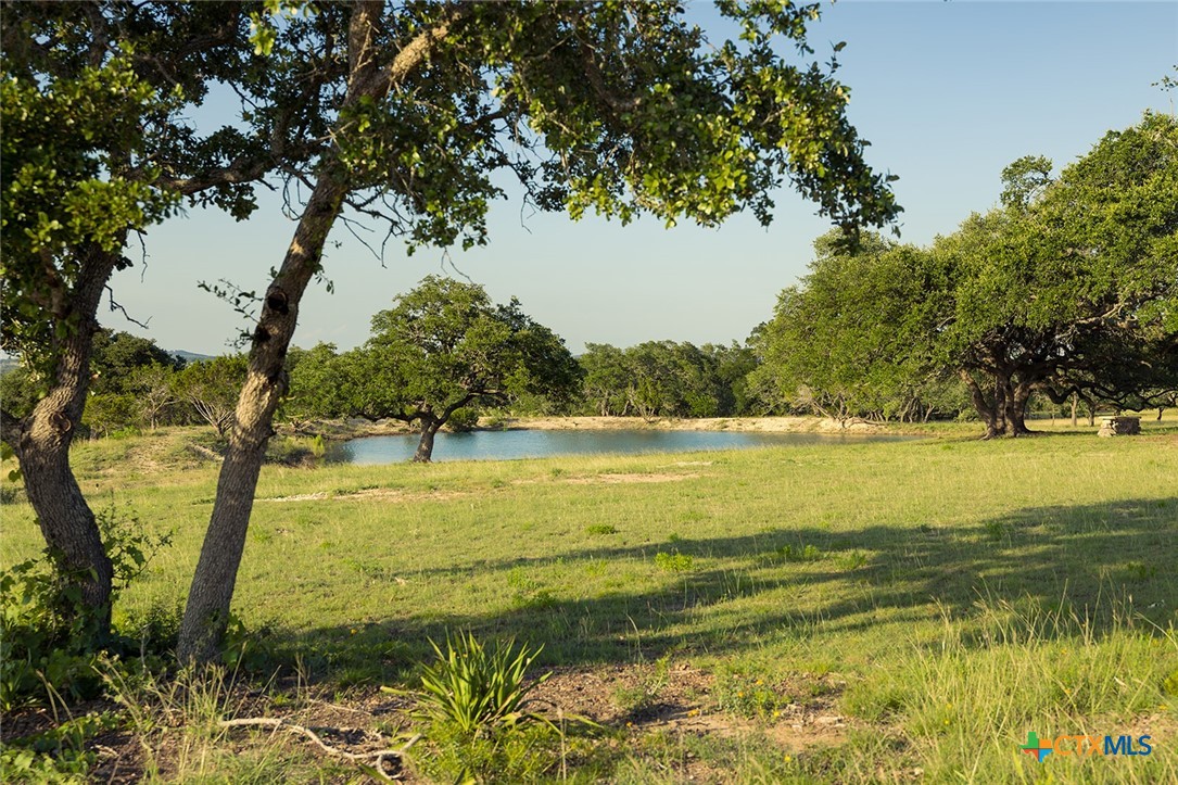 98.73 Acres Triple 3 Ranch Blanco, TX 78606 - Photo 20 of 24 a view of an ocean