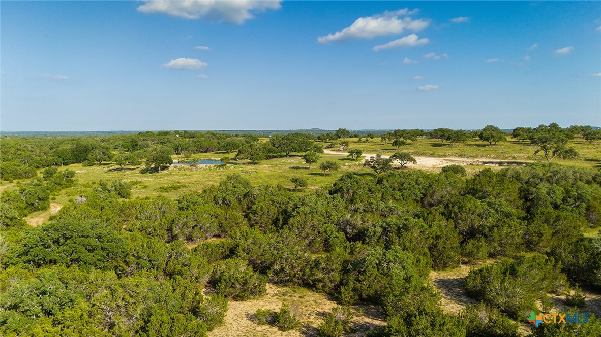 98.73 Acres Triple 3 Ranch Blanco, TX 78606 - Photo 22 of 24 a view of a city