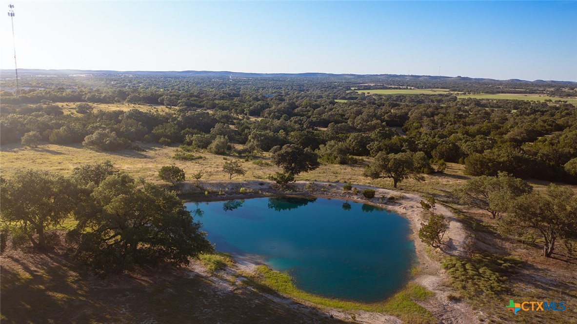 98.73 Acres Triple 3 Ranch Blanco, TX 78606 - Photo 9 of 24 a view of a lake in middle of the town