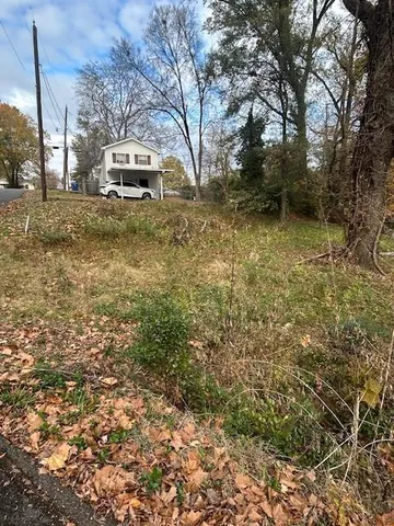 a view of a yard with trees