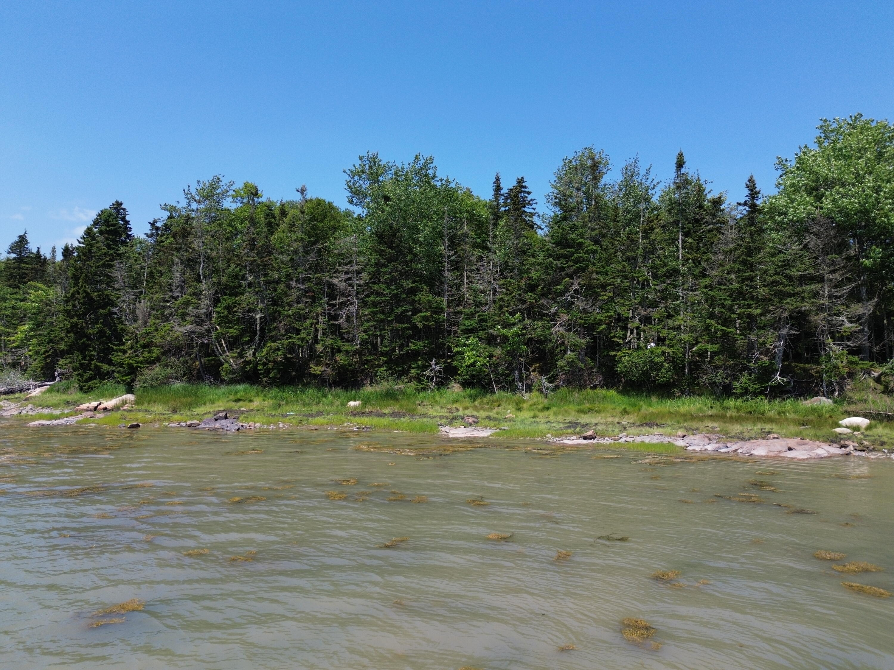 M7-l 5 6 Pineo Point Road Harrington, ME 04643 - Photo 37 of 45 DJI_0389