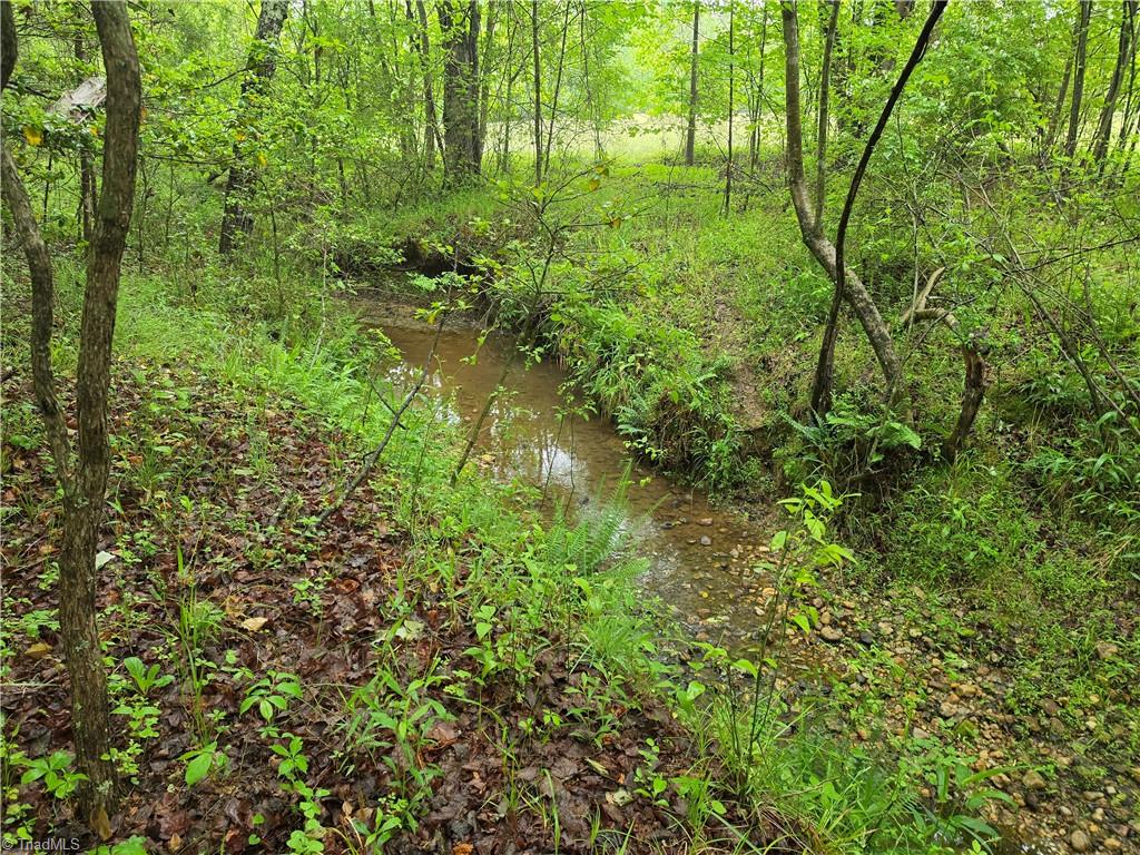 2729 Asbury Road Mount Airy, NC 27030 - Photo 34 of 36