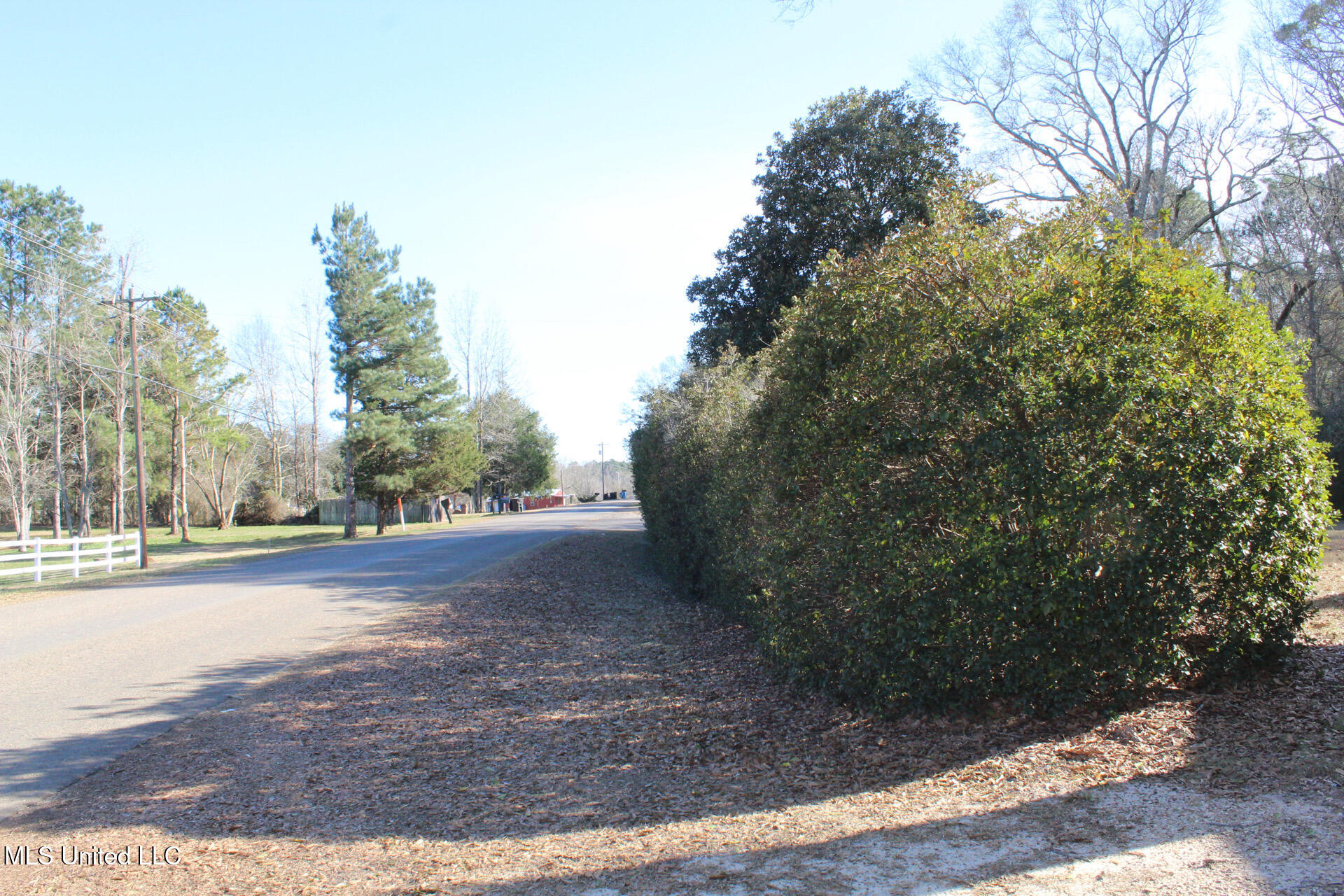 1141 Ward Jackson Road Summit, MS 39666 - Photo 15 of 15 11872187