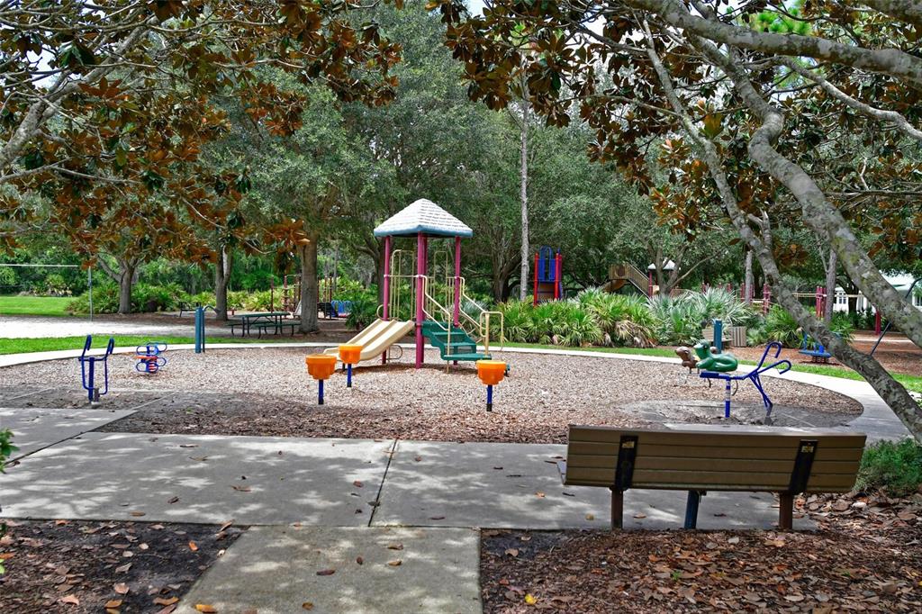 6248 Tupelo Trail Lakewood Ranch, FL 34202 - Photo 49 of 53