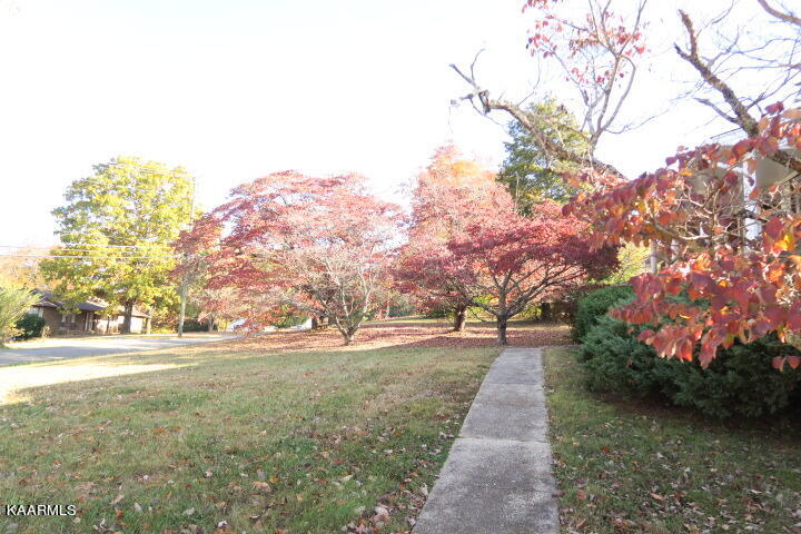 6020 Ridgeview Road Knoxville, TN 37918 - Photo 8 of 28 IMG_1519