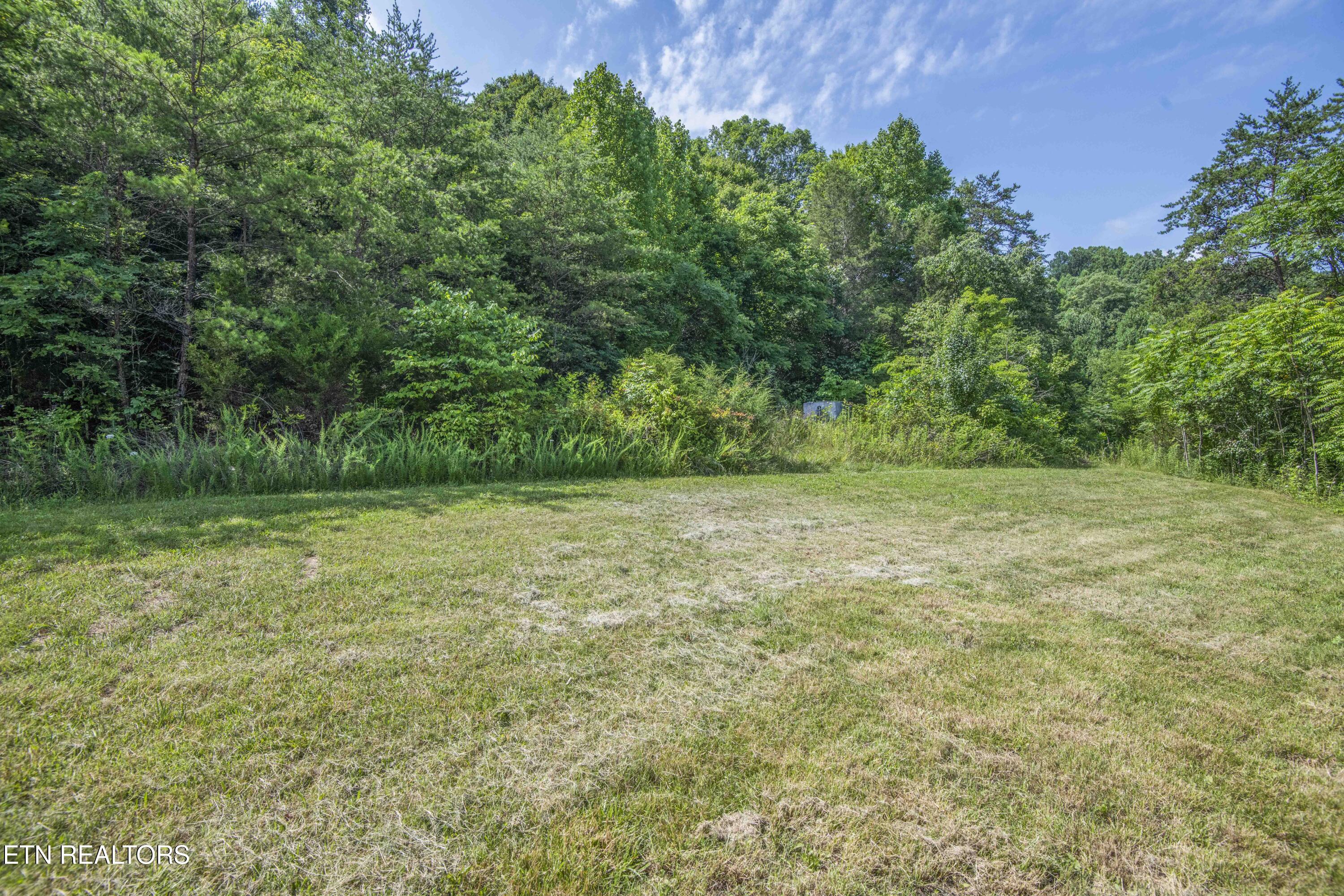1587 Lower Caney Valley Road Tazewell, TN 37879 - Photo 30 of 42 yard 8_1