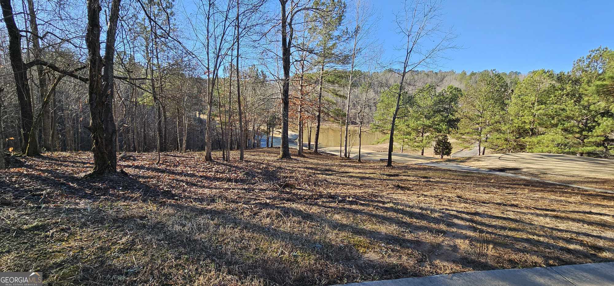 42 Lookout Point Toccoa, GA 30577 - Photo 11 of 22 a view of yard