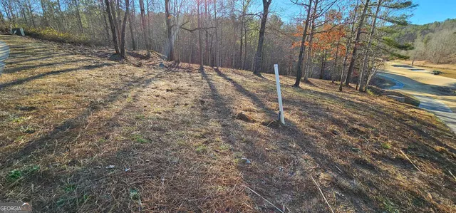 a backyard of a house with trees and covered with snow