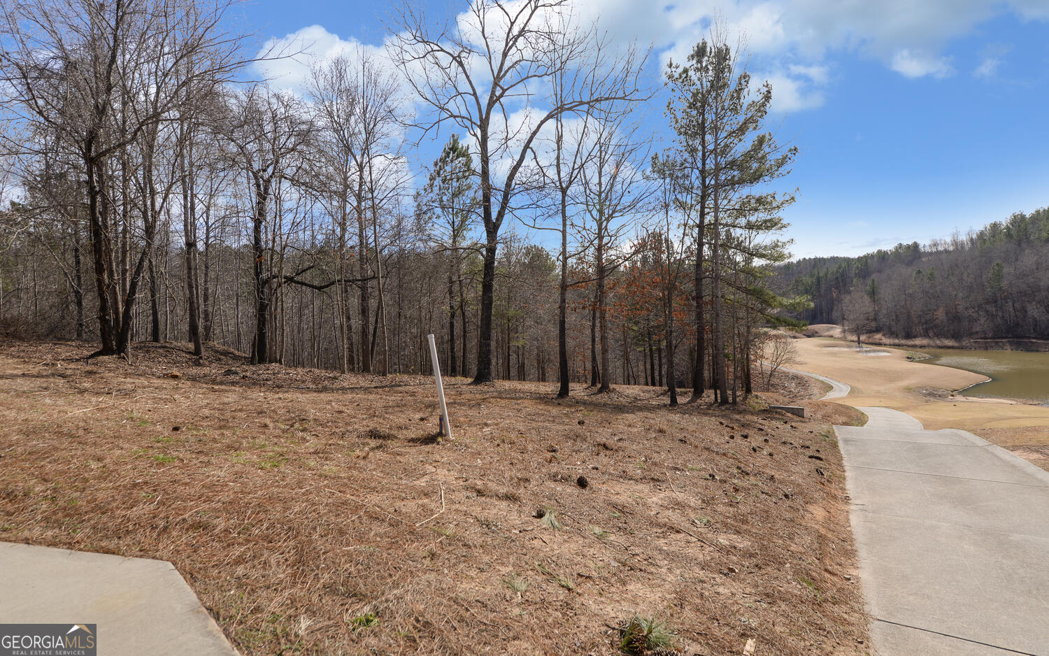 42 Lookout Point Toccoa, GA 30577 - Photo 19 of 22 a fire hydrant in the middle of a field