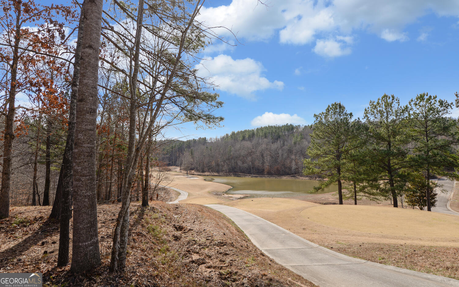 42 Lookout Point Toccoa, GA 30577 - Photo 20 of 22 a view of a yard with trees