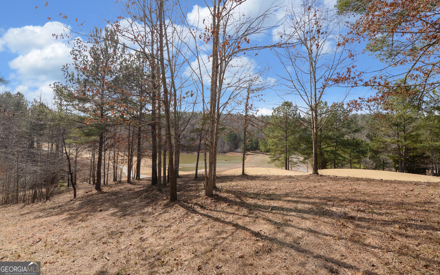 42 Lookout Point Toccoa, GA 30577 - Photo 21 of 22 a backyard of a house with trees