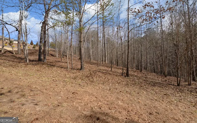 $225,000 | 42 Lookout Point, Toccoa, GA 30577