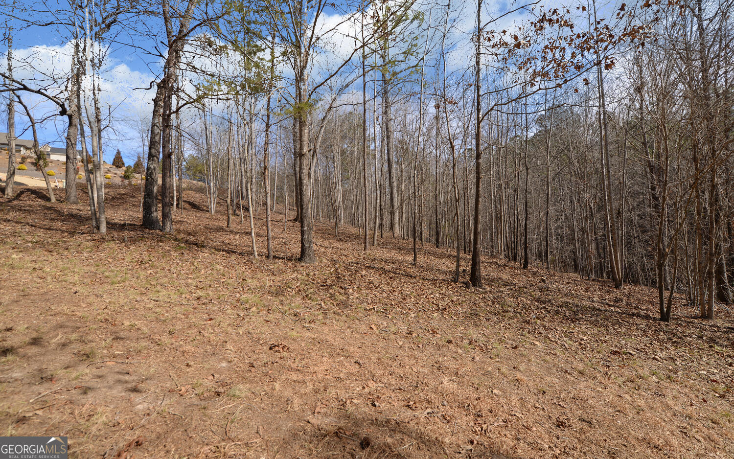 42 Lookout Point Toccoa, GA 30577 - Photo 22 of 22 a backyard of a house with lots of trees