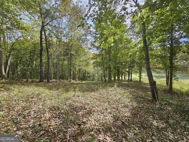 a view of outdoor space with trees