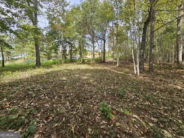 a view of a yard with a tree