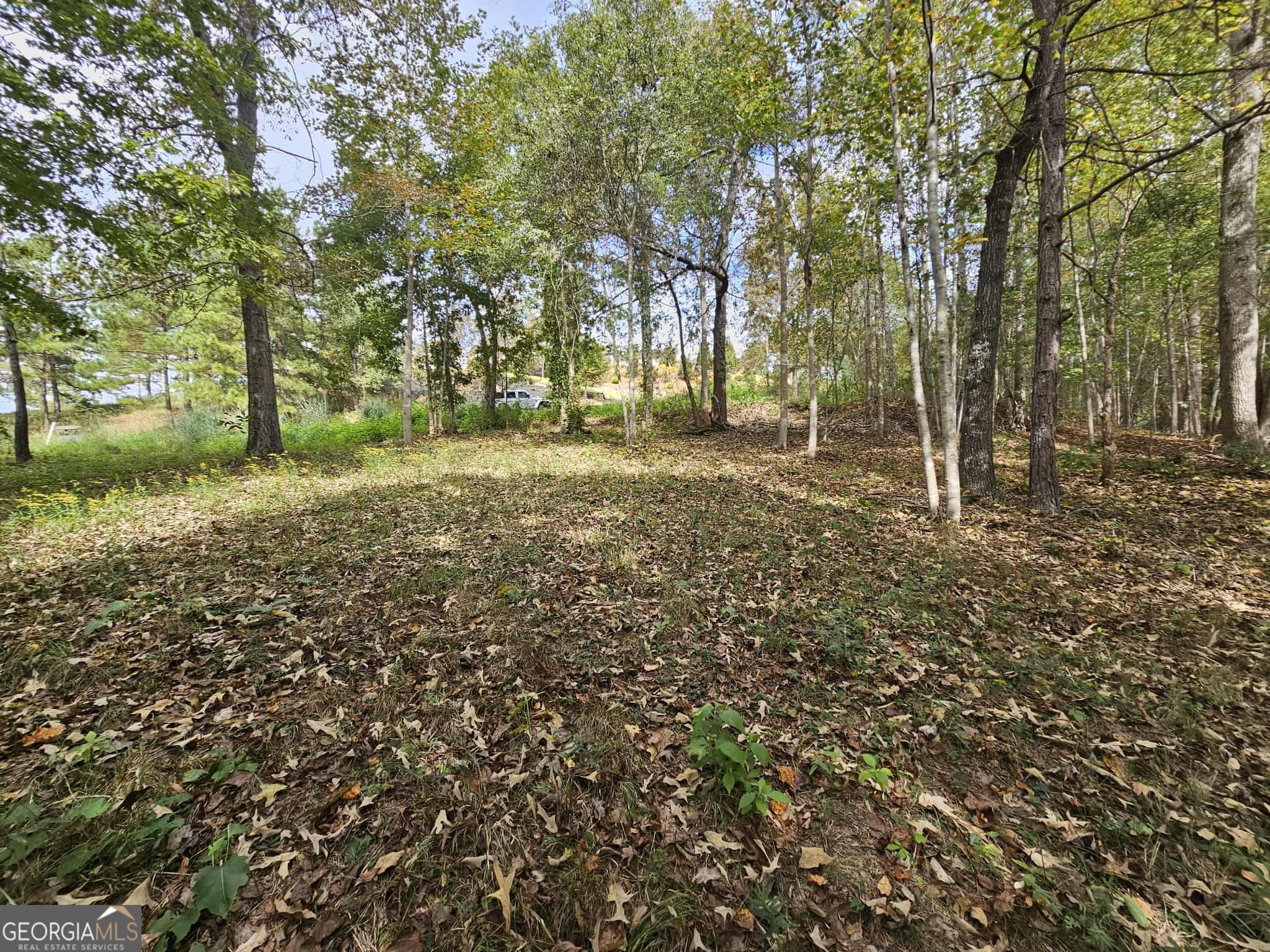 42 Lookout Point Toccoa, GA 30577 - Photo 4 of 22 a view of a yard with a tree