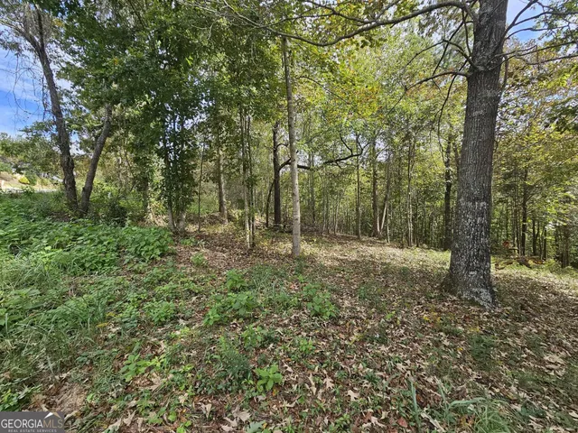 a view of outdoor space and trees