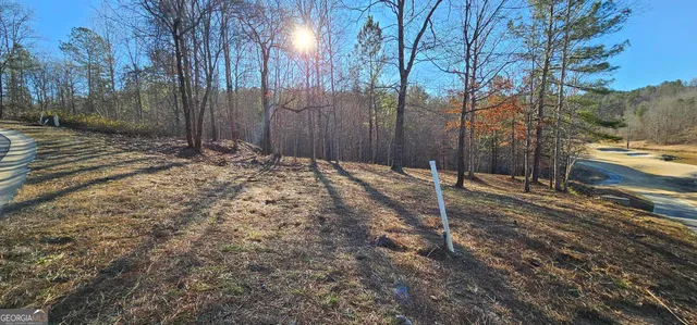 a backyard of a house with a trees