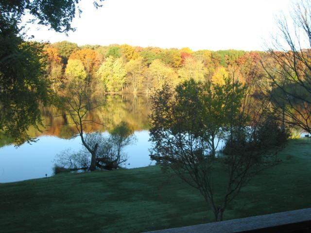 0 West Division Road Hebron, IN 46341 - Photo 7 of 11 a view of a yard with a tree