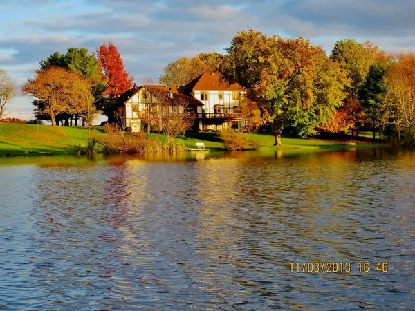 a view of a yard in front of a house