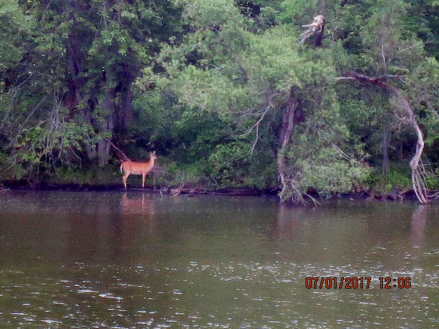 0 West Division Road Hebron, IN 46341 - Photo 9 of 11 a view of a lake with trees all around