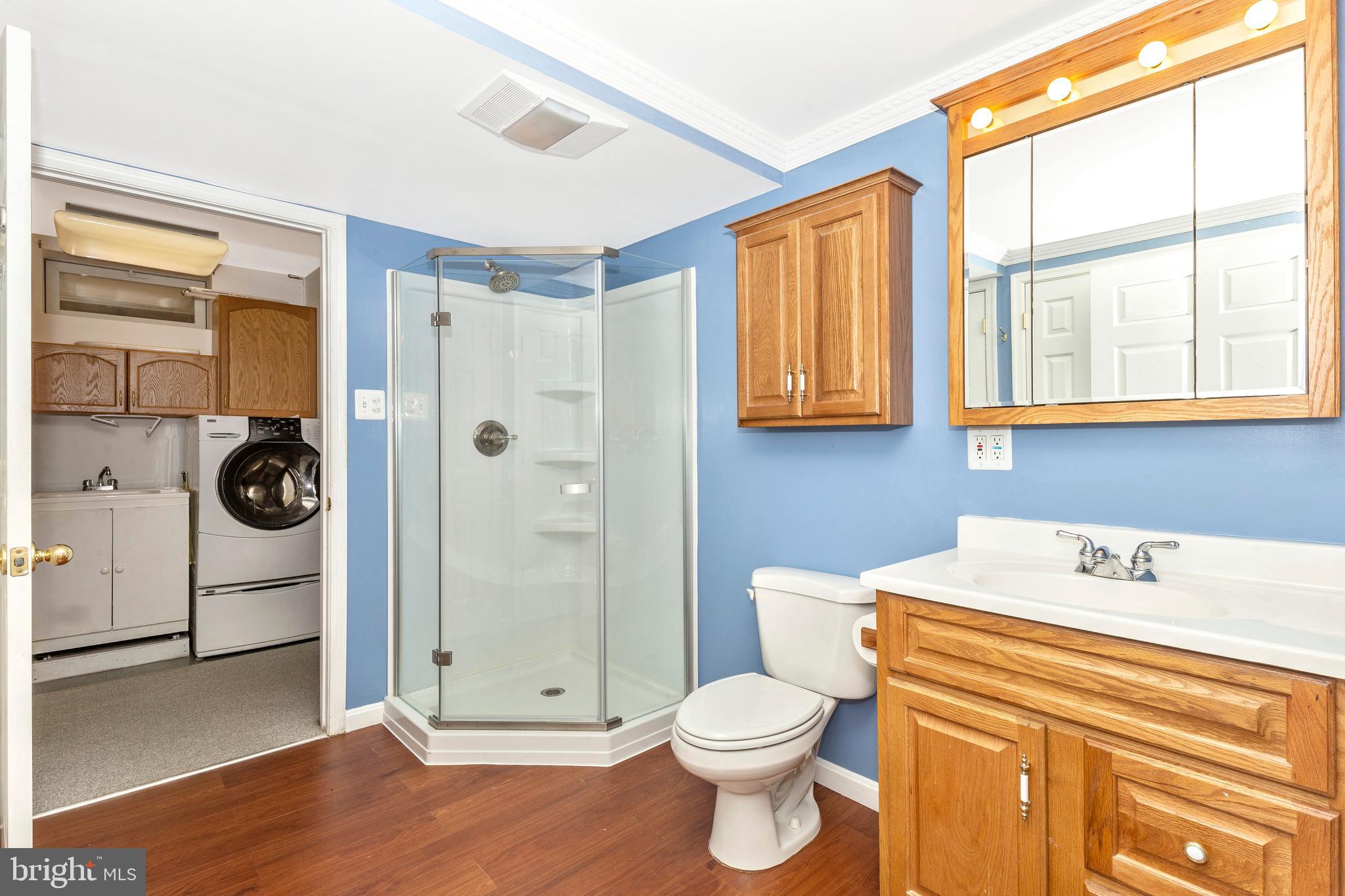 1306 Crossbow Road Mount Airy, MD 21771 - Photo 52 of 78 Basement Bath