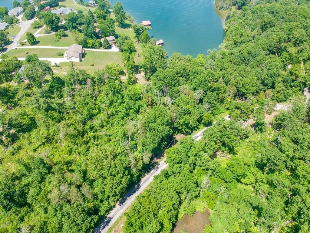 0 Blue Water Trail Spring City, TN 37381 - Photo 25 of 36 Gallery Image 25