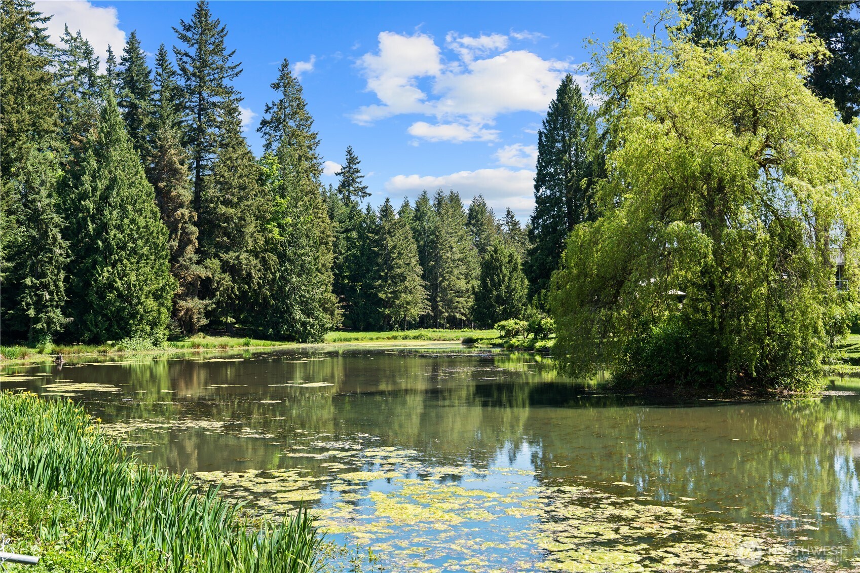 23825 15th Avenue Southeast, Unit 108 Bothell, WA 98021 - Photo 35 of 39 a view of a lake with a yard