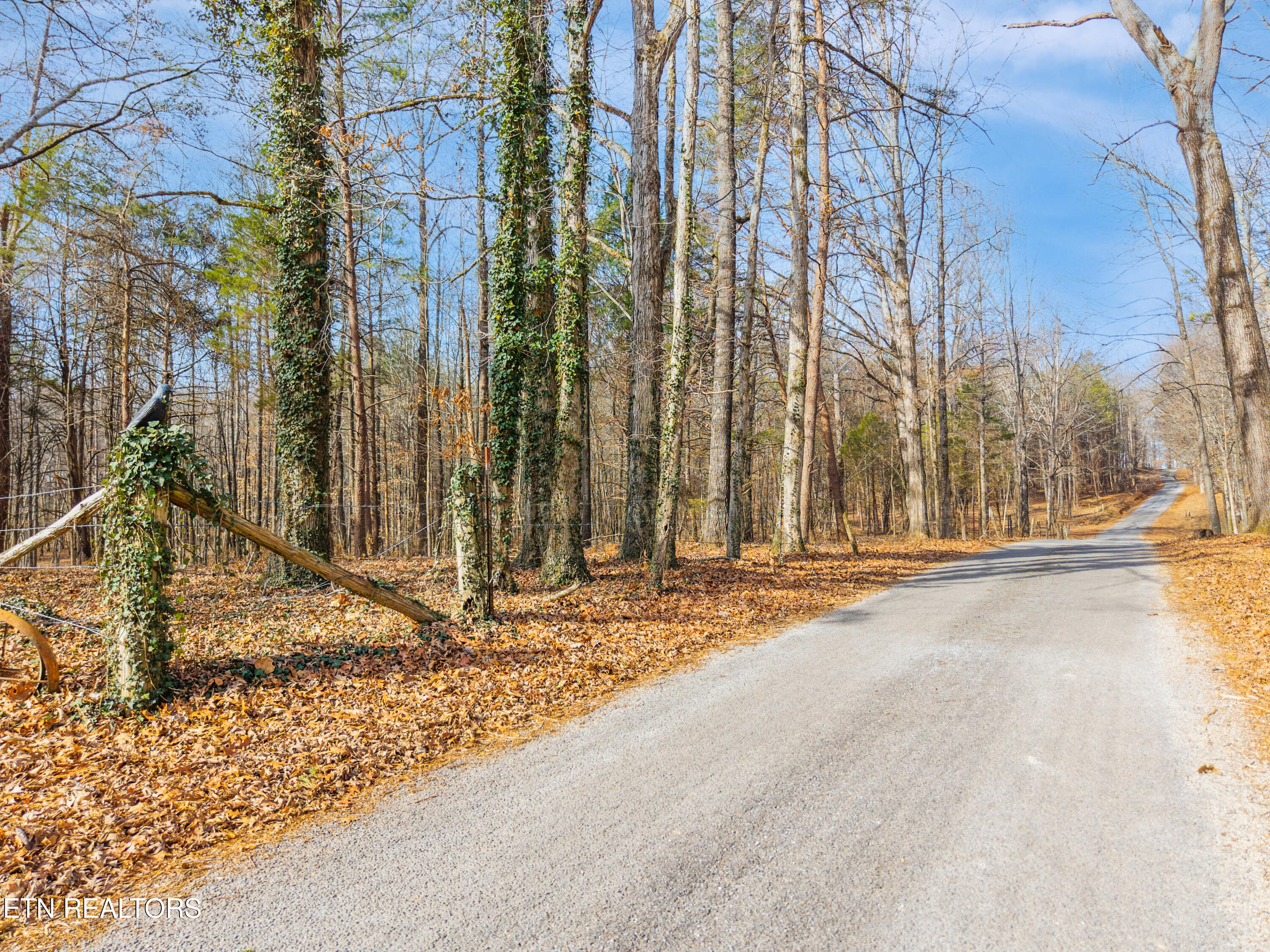 262 Co Road Niota, TN 37826 - Photo 10 of 12 knox_view_media_260_co_rd_3600014