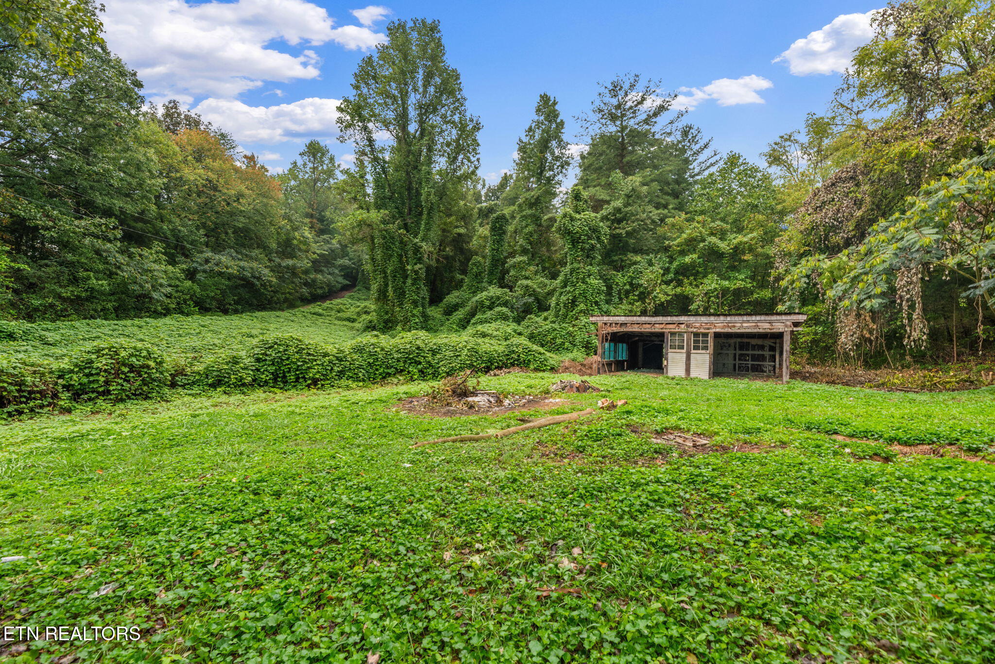 1384 Coal Hill Road Harriman, TN 37748 - Photo 37 of 38 37-web-or-mls-ClHll1384 (16)