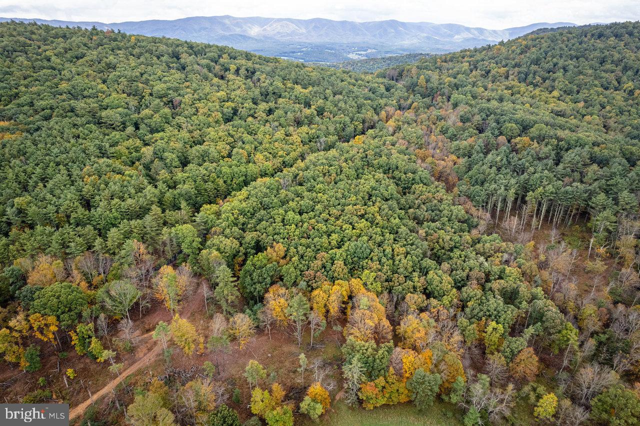 0 Dry Run Road Brandywine, WV 26802 - Photo 16 of 33
