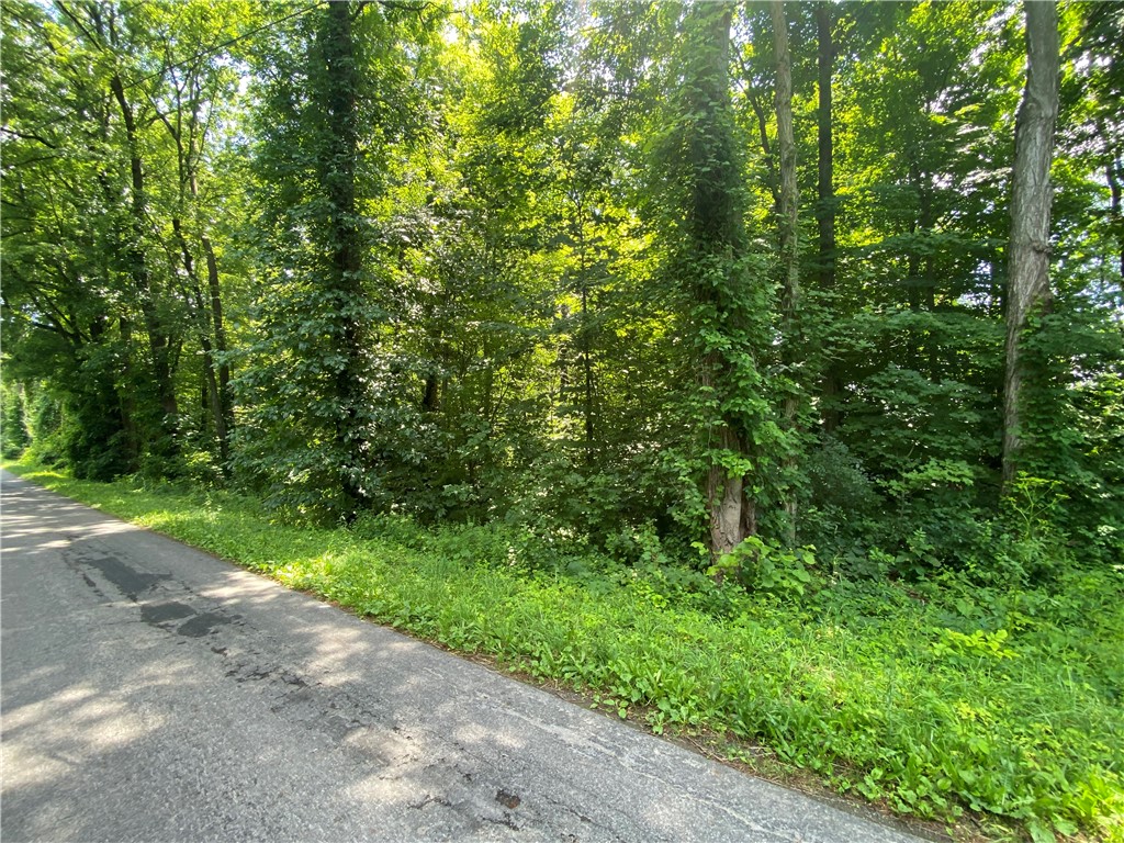 0 Strang Road Waterloo, NY 13165 - Photo 1 of 1