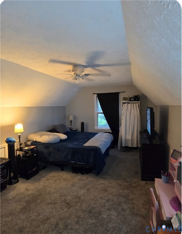 3170 Ella Road Henrico, VA 23231 - Photo 38 of 50 Sloped ceilings, window with dark curtain, ceiling