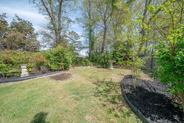 a view of a yard with plants and trees