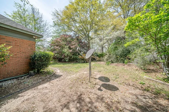 a view of a yard with plants