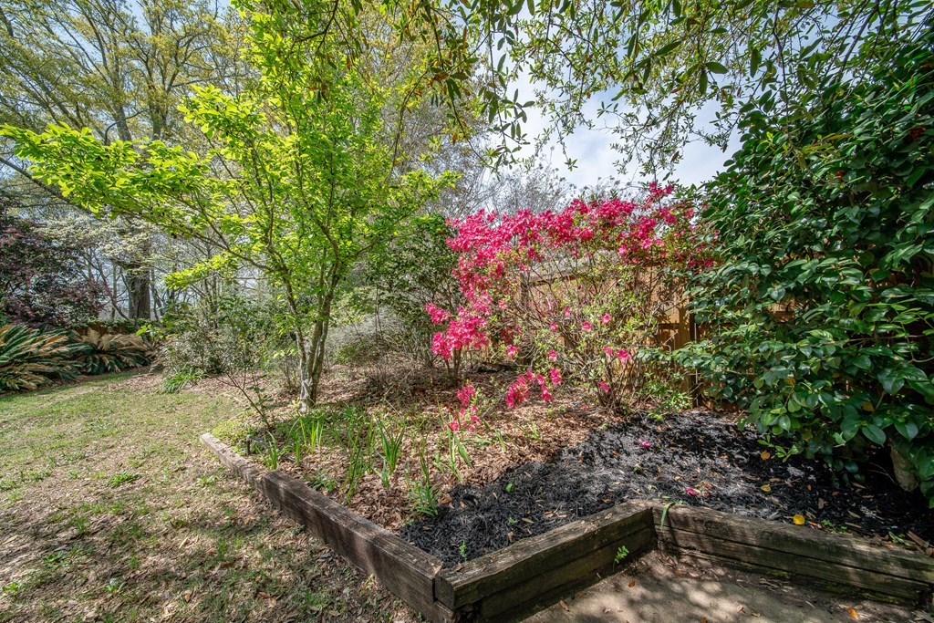 5 Mink Court Midland, GA 31820 - Photo 41 of 42 a view of a yard with plants