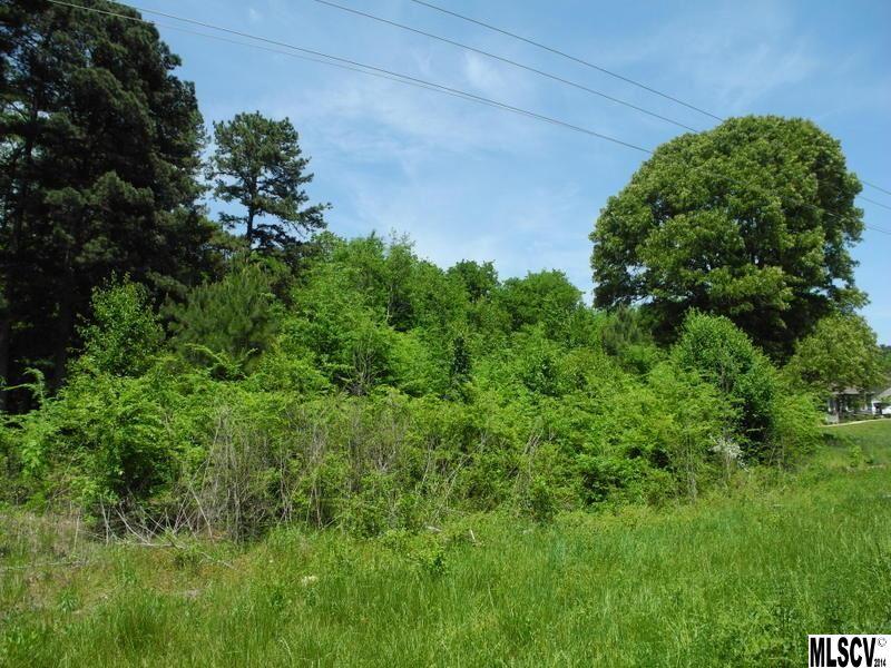 Lot Hagers Hagers Ferry Road Denver, NC 28037 - Photo 2 of 10