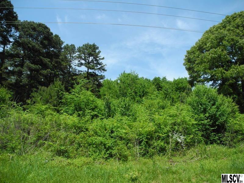 Lot Hagers Hagers Ferry Road Denver, NC 28037 - Photo 3 of 10