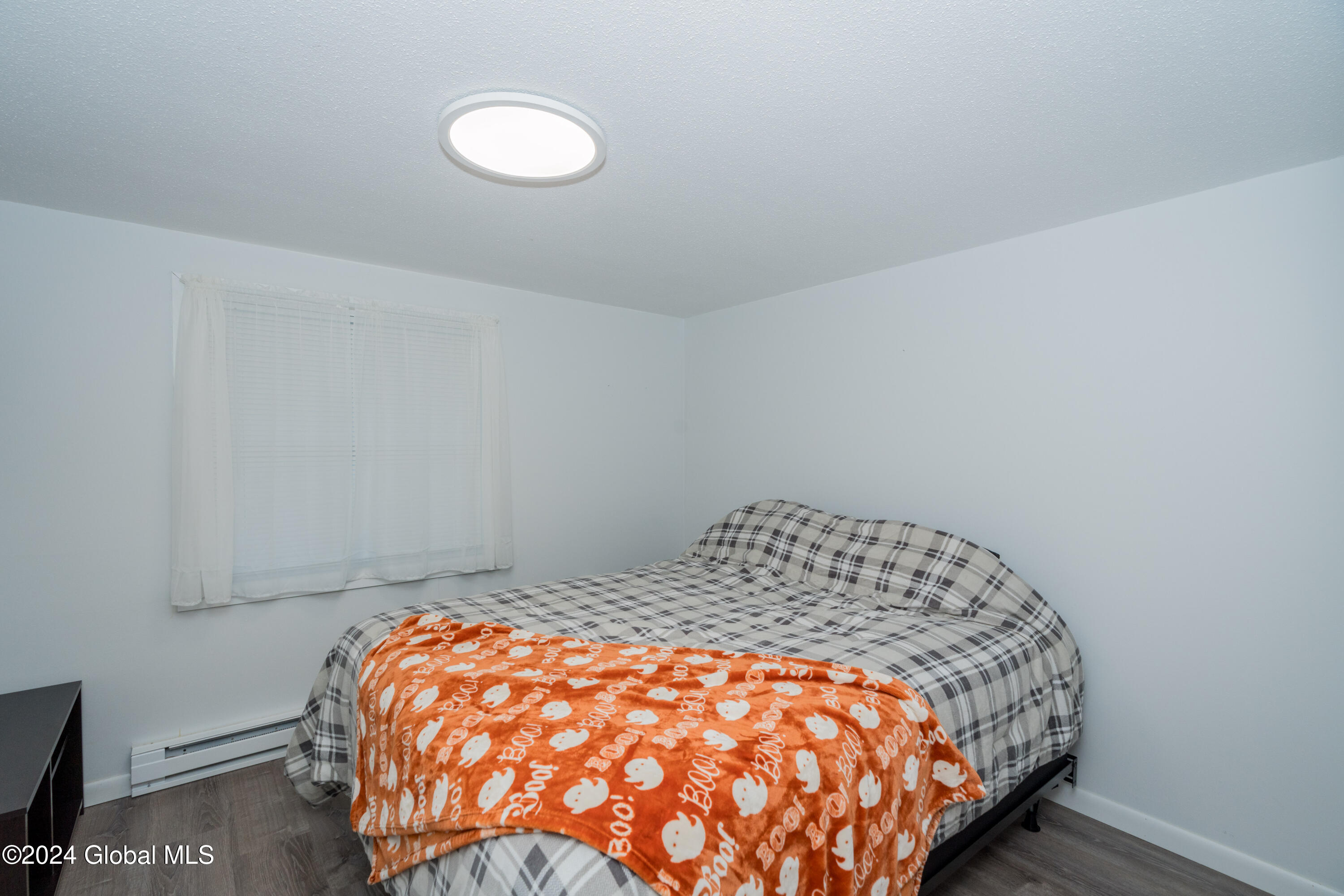 1118 Middleline Road Ballston Spa, NY 12020 - Photo 24 of 34 DSC04019